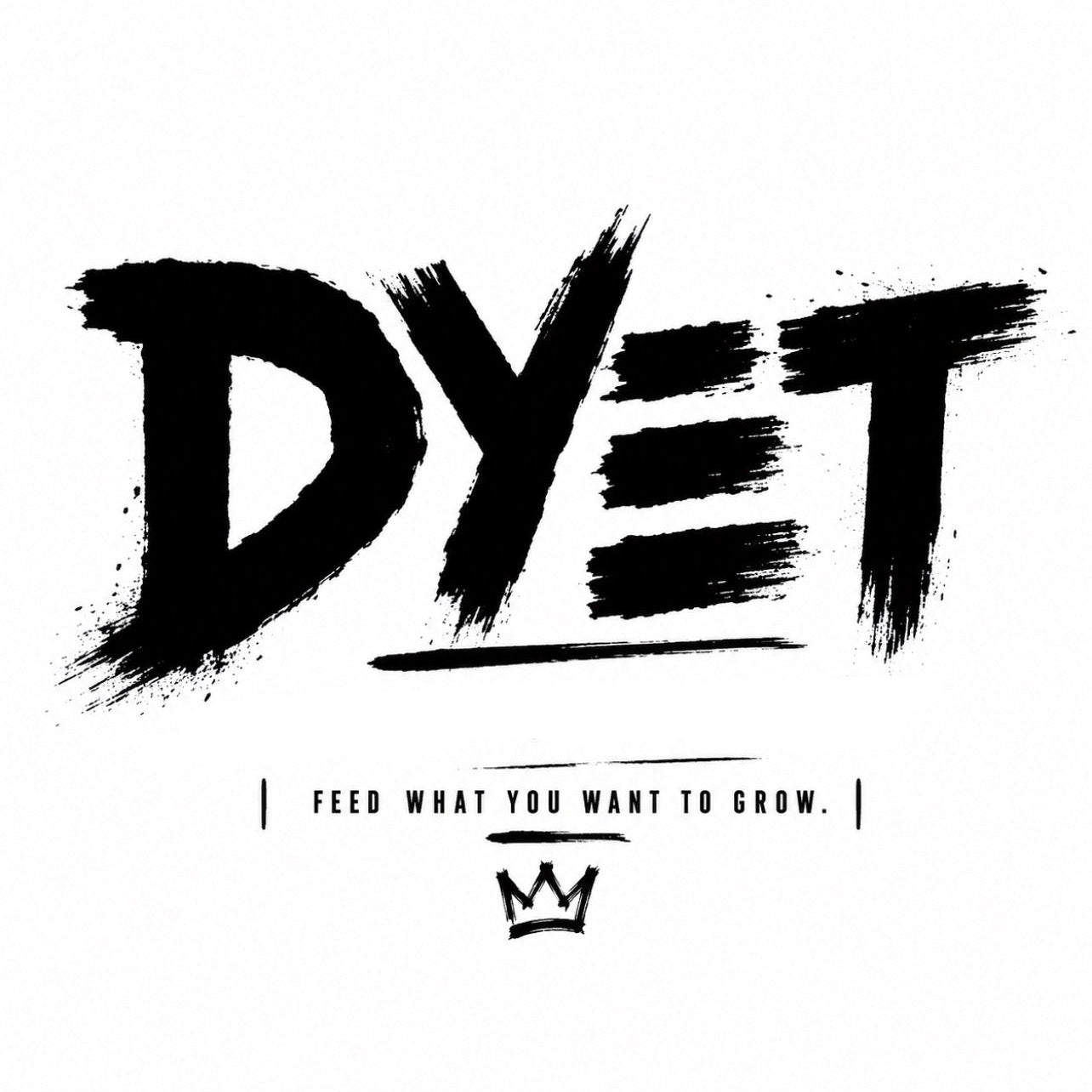 D.Y.E.T LLC